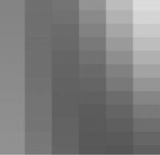 Portrait of Priyanka Desai 